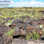 Valley of Fires, Carrizozo, NM