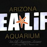 A Day at Sea Life Aquarium Arizona