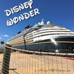 Cruise Tips and Advice for First Time Cruisers